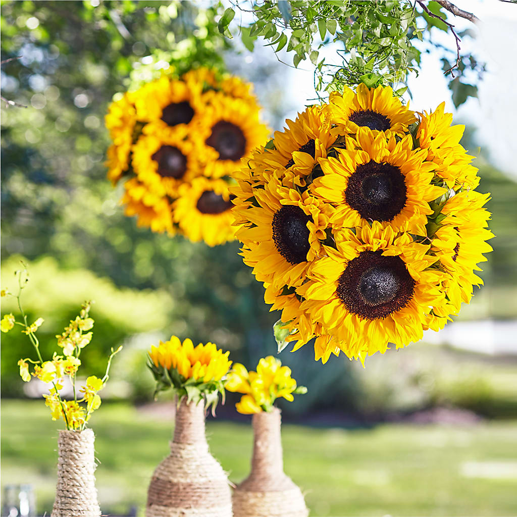 Sublime Garden Hanging Arrangement –  Beantown Florist, Everett MA