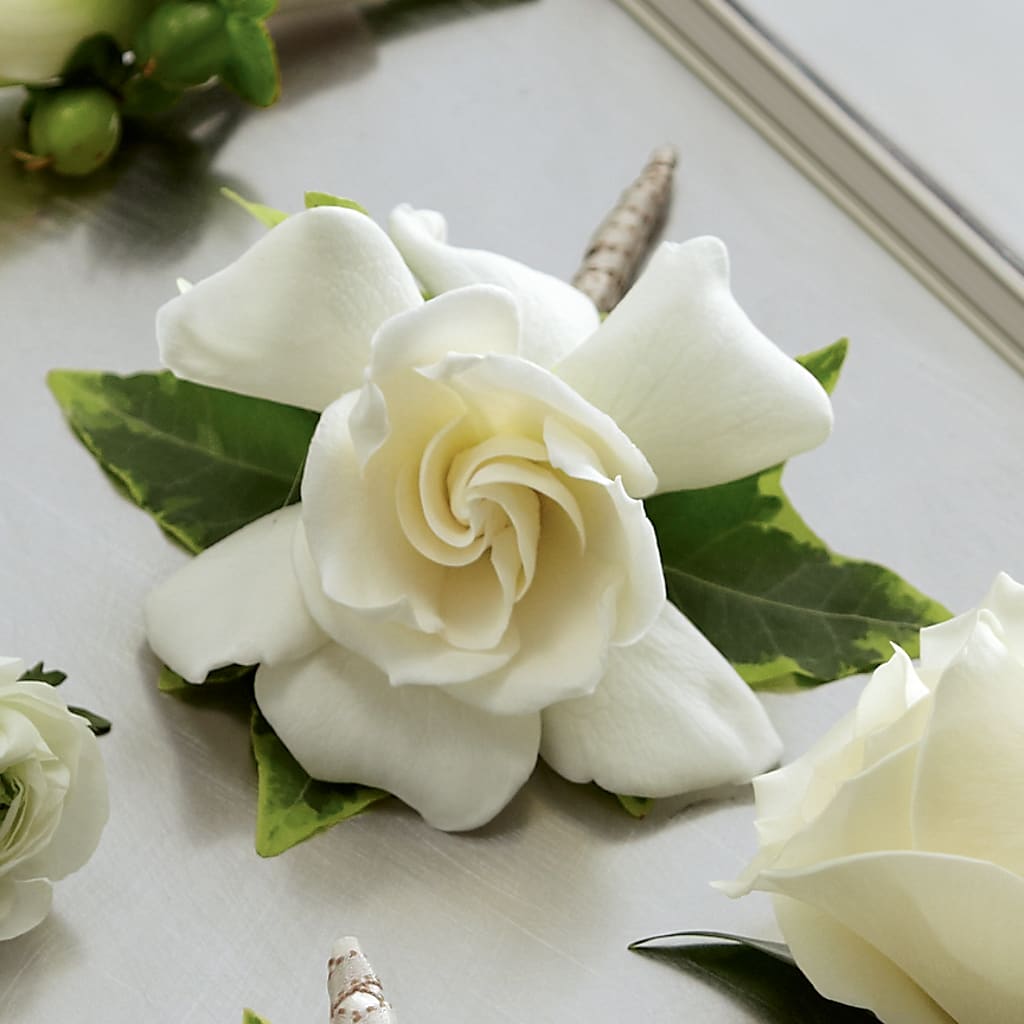 Gardenia Boutonniere –  Beantown Florist, Everett MA
