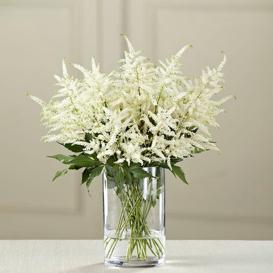White Astilbe Bouquet –  Beantown Florist, Everett MA