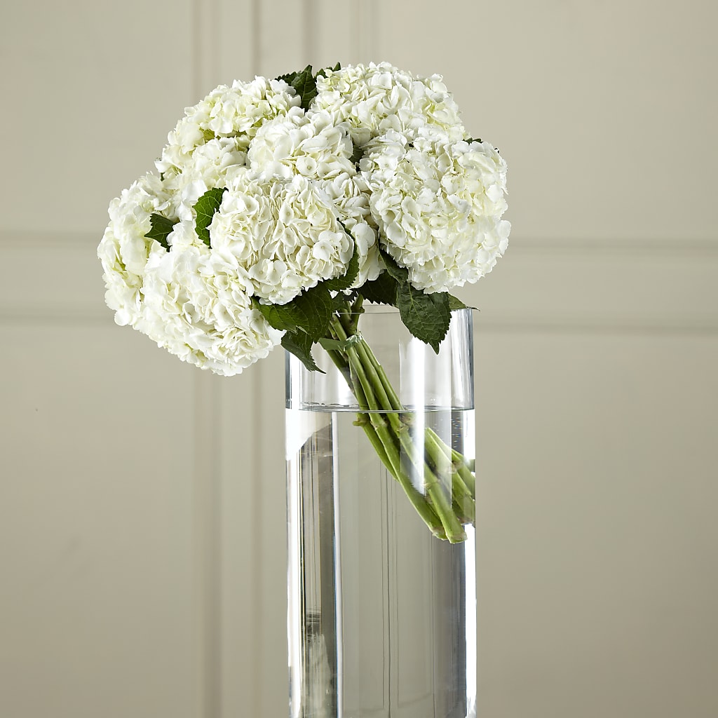 White Hydrangea Hand-Tied Bouquet –  Beantown Florist, Everett MA