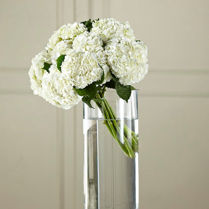 White Hydrangea Hand-Tied Bouquet –  Beantown Florist, Everett MA