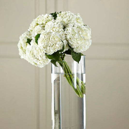 White Hydrangea Hand-Tied Bouquet –  Beantown Florist, Everett MA