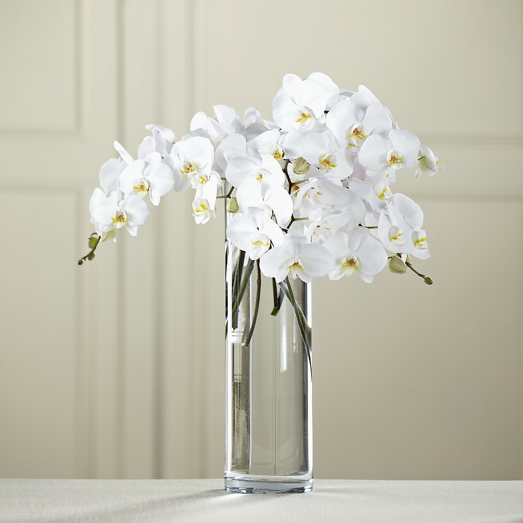 White Phalaenopsis Bouquet –  Beantown Florist, Everett MA