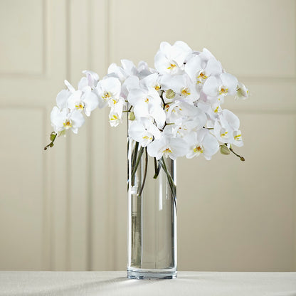 White Phalaenopsis Bouquet –  Beantown Florist, Everett MA