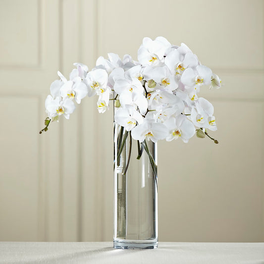 White Phalaenopsis Bouquet –  Beantown Florist, Everett MA