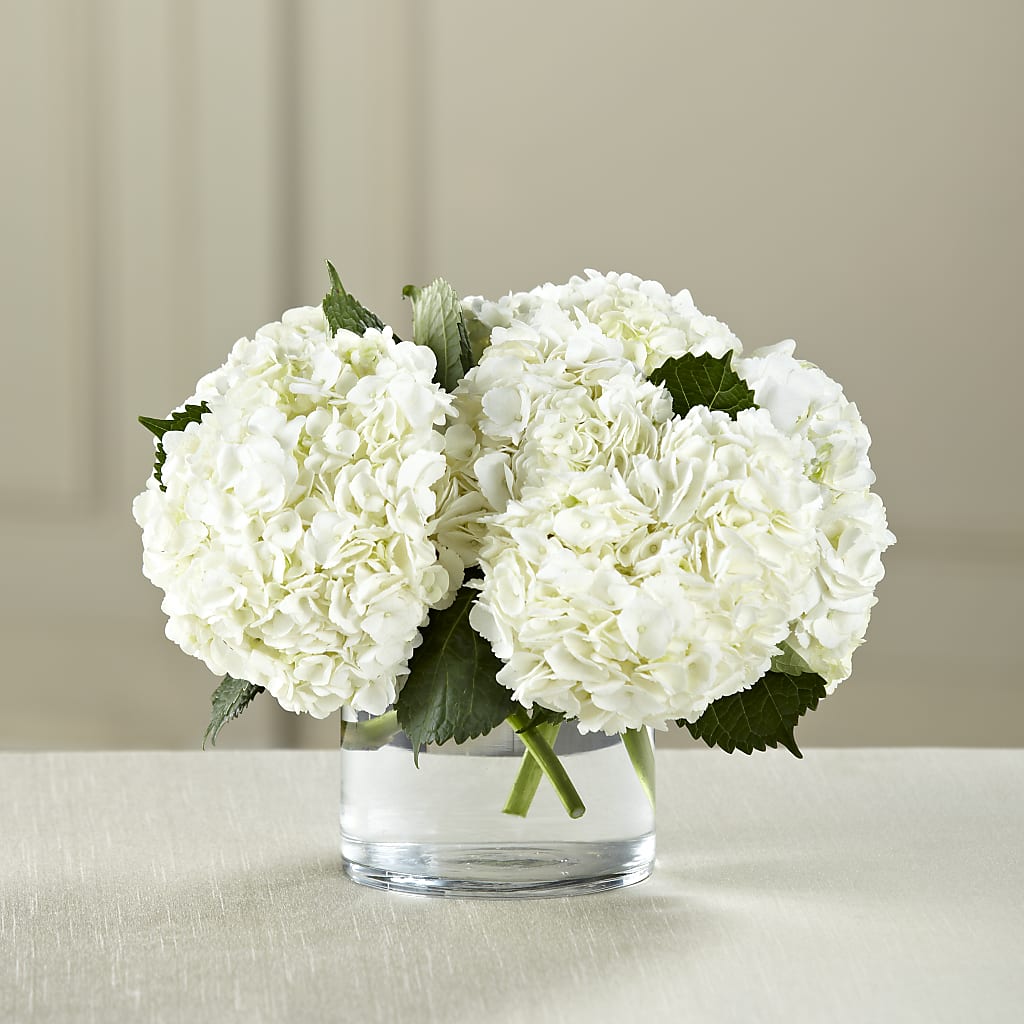 White Hydrangea Bouquet –  Beantown Florist, Everett MA