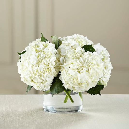 White Hydrangea Bouquet –  Beantown Florist, Everett MA