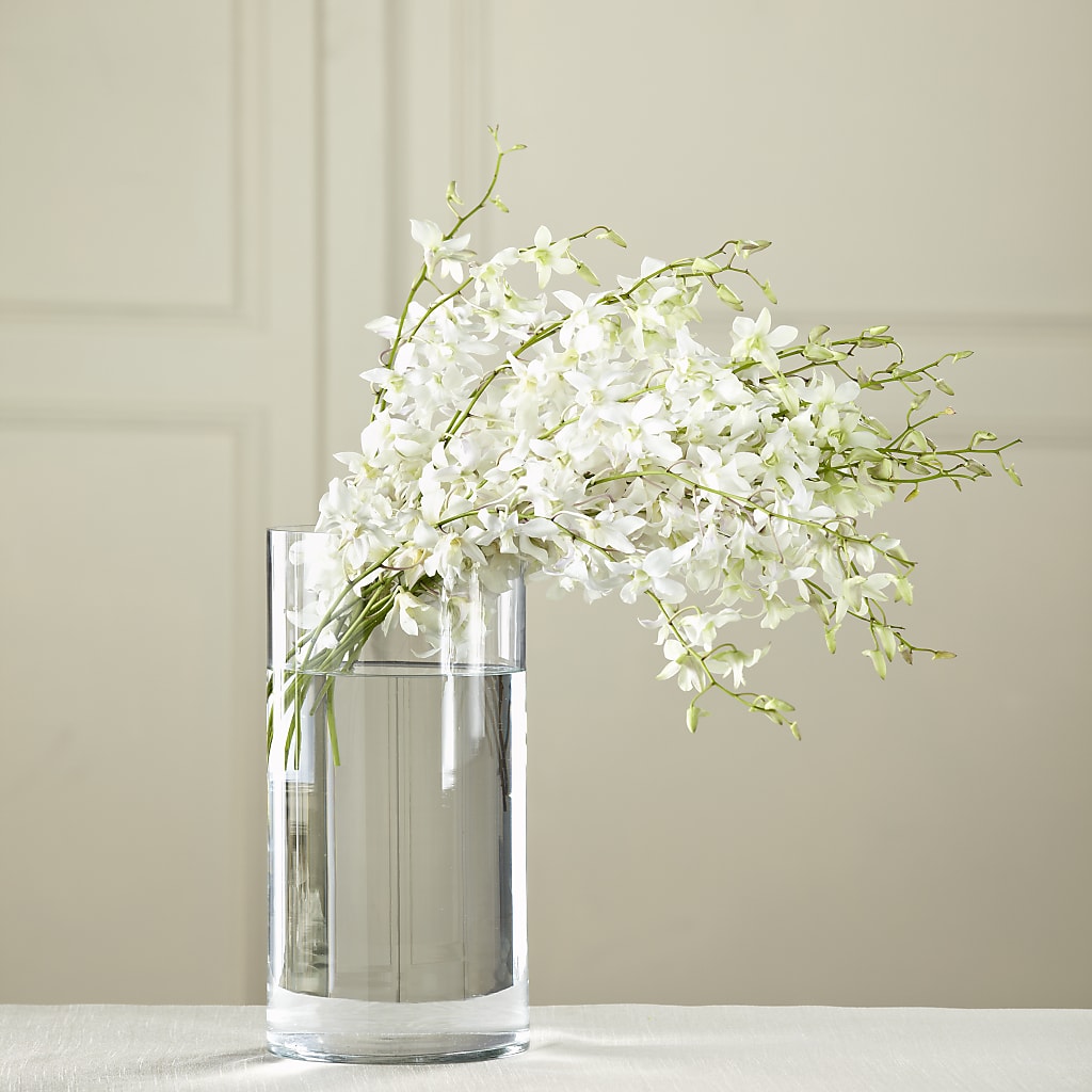White Dendrobium Bouquet –  Beantown Florist, Everett MA