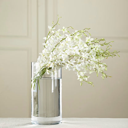 White Dendrobium Bouquet –  Beantown Florist, Everett MA