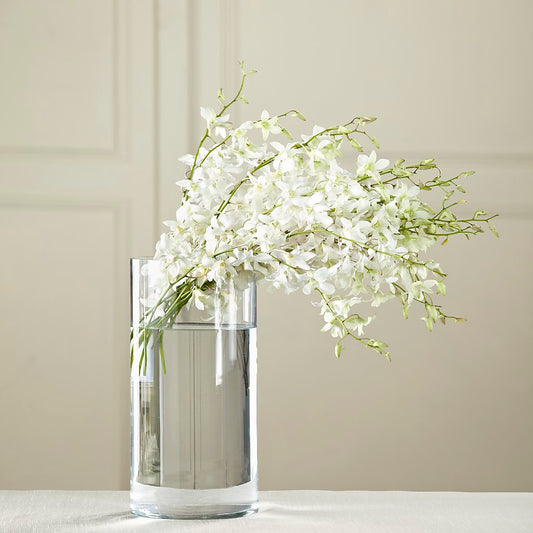 White Dendrobium Bouquet –  Beantown Florist, Everett MA
